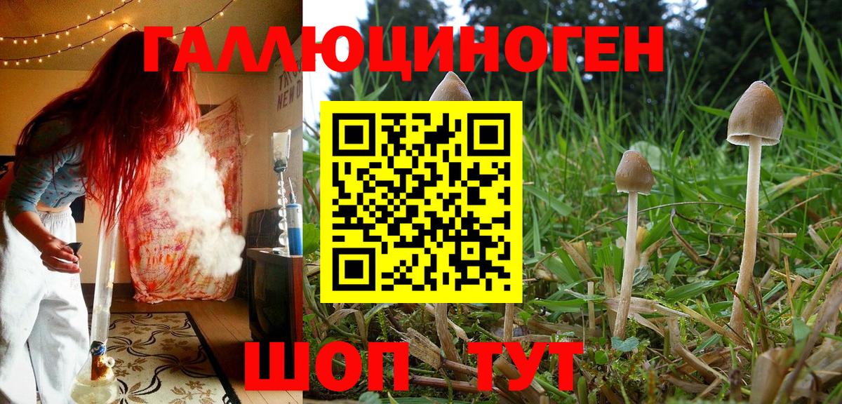 Санкт-Петербург  Псилоцибиновые грибы мицелий  Галлюциногенные грибы Psilocybine cubensis  Вход с VPN 
