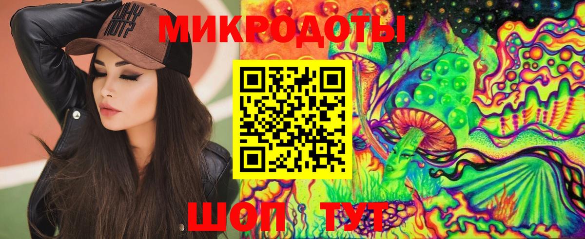 Галлюциногенные грибы Cubensis Санкт-Петербург