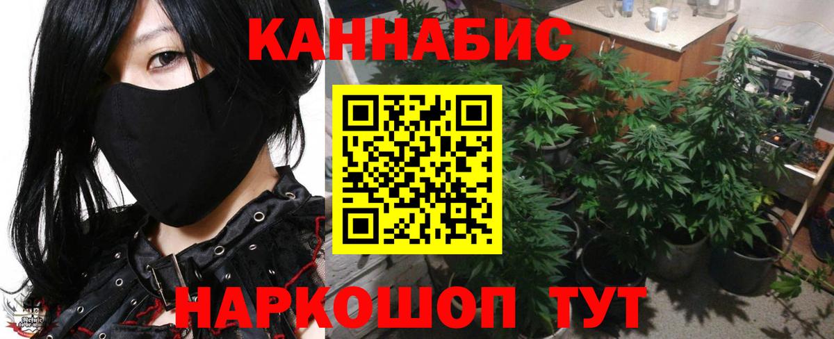 Бошки Шишки Ganja  Вход с VPN  Санкт-Петербург  Каннабис SATIVA & INDICA 